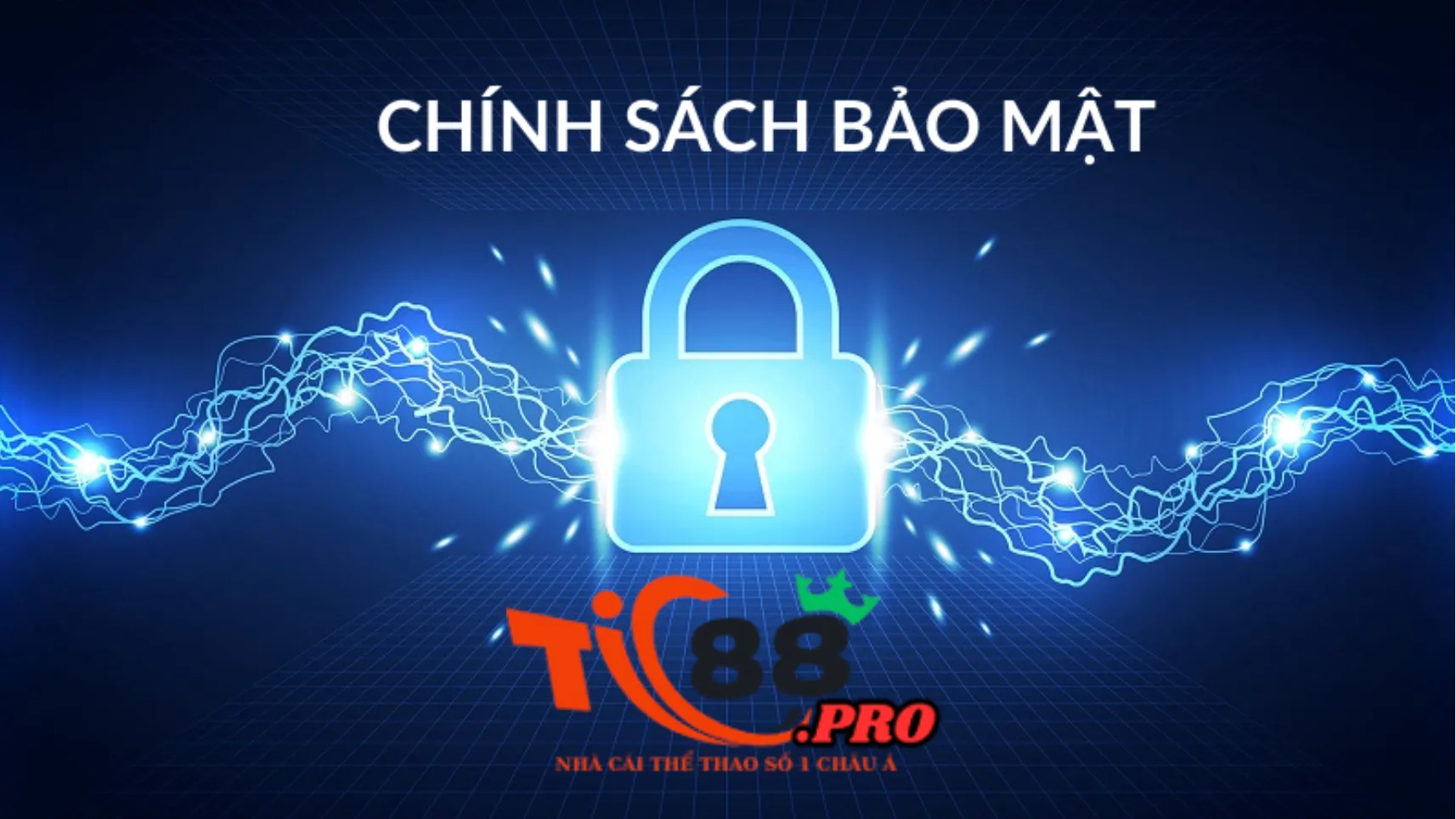 Tìm hiểu chính sách bảo mật Tic88 là gì